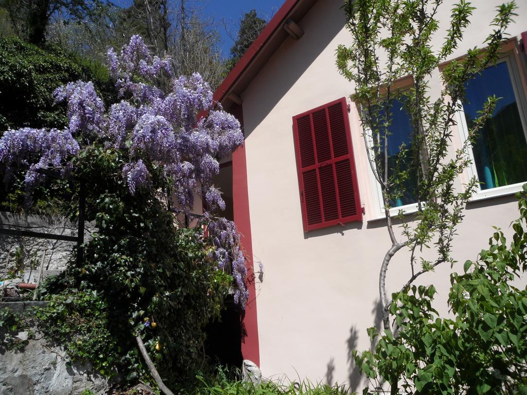 Chambres D'Hotes Casa SylvanaSaint-Dalmas-de-Tende エクステリア 写真