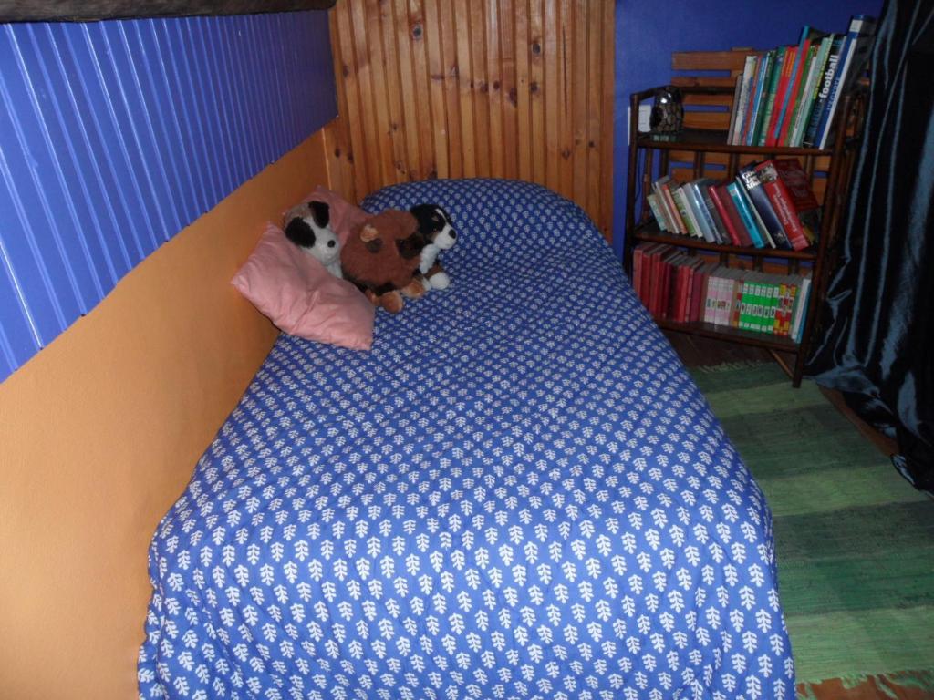 Chambres D'Hotes Casa SylvanaSaint-Dalmas-de-Tende 部屋 写真