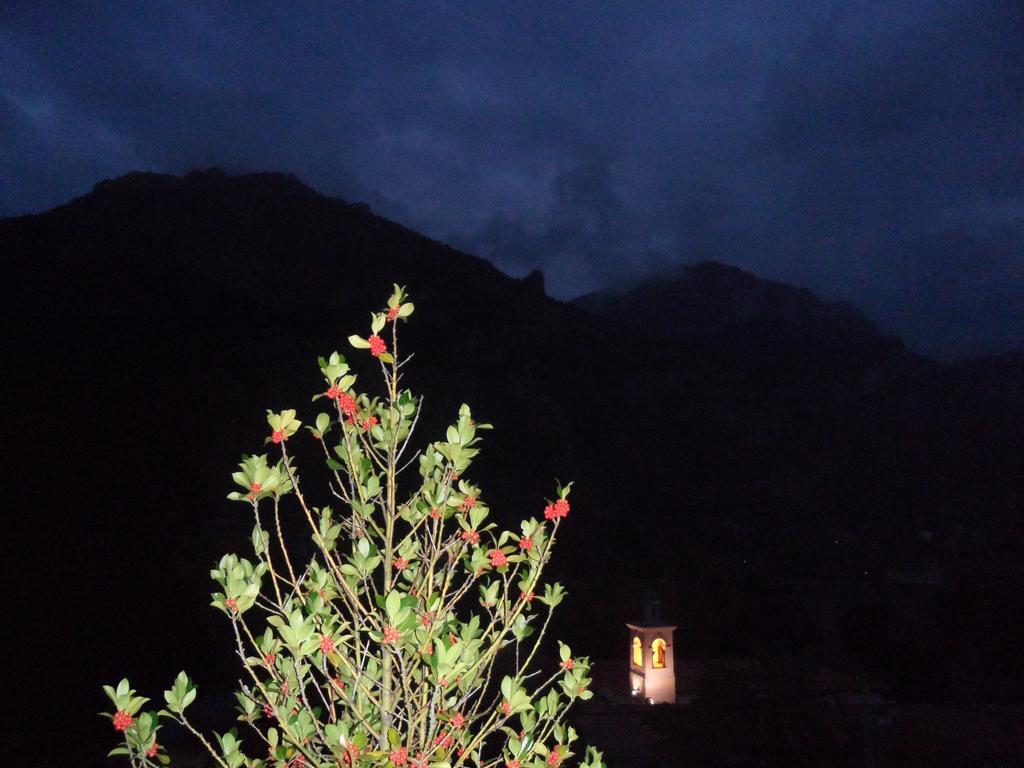 Chambres D'Hotes Casa SylvanaSaint-Dalmas-de-Tende エクステリア 写真